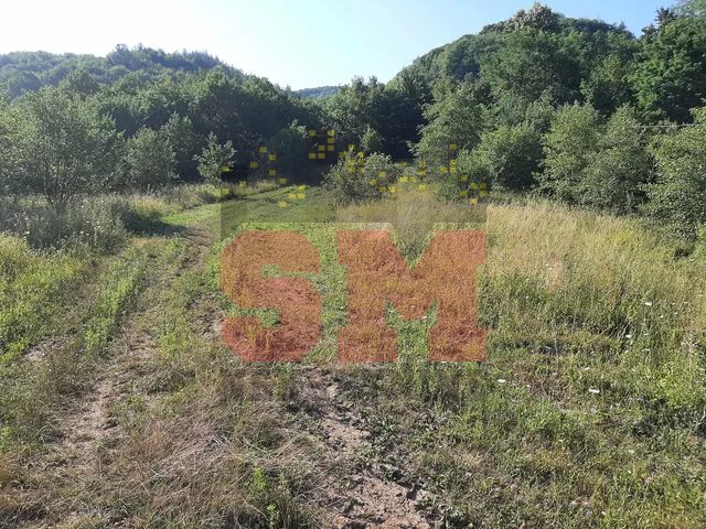 Slika 16