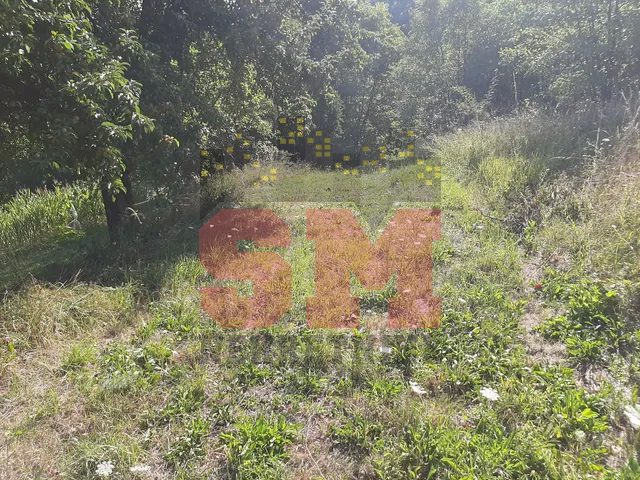 Slika 15